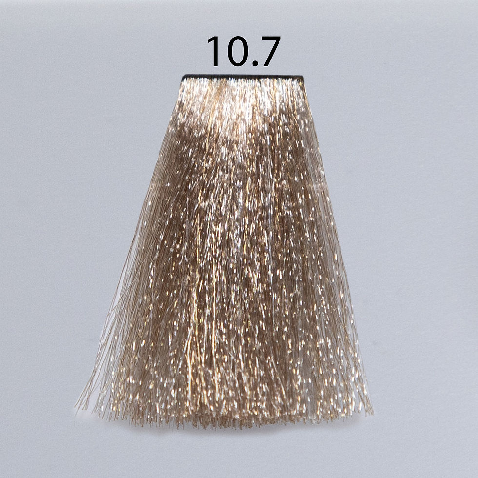ELEA ARTISTO plaukų dažai Nr.10.7 100ml