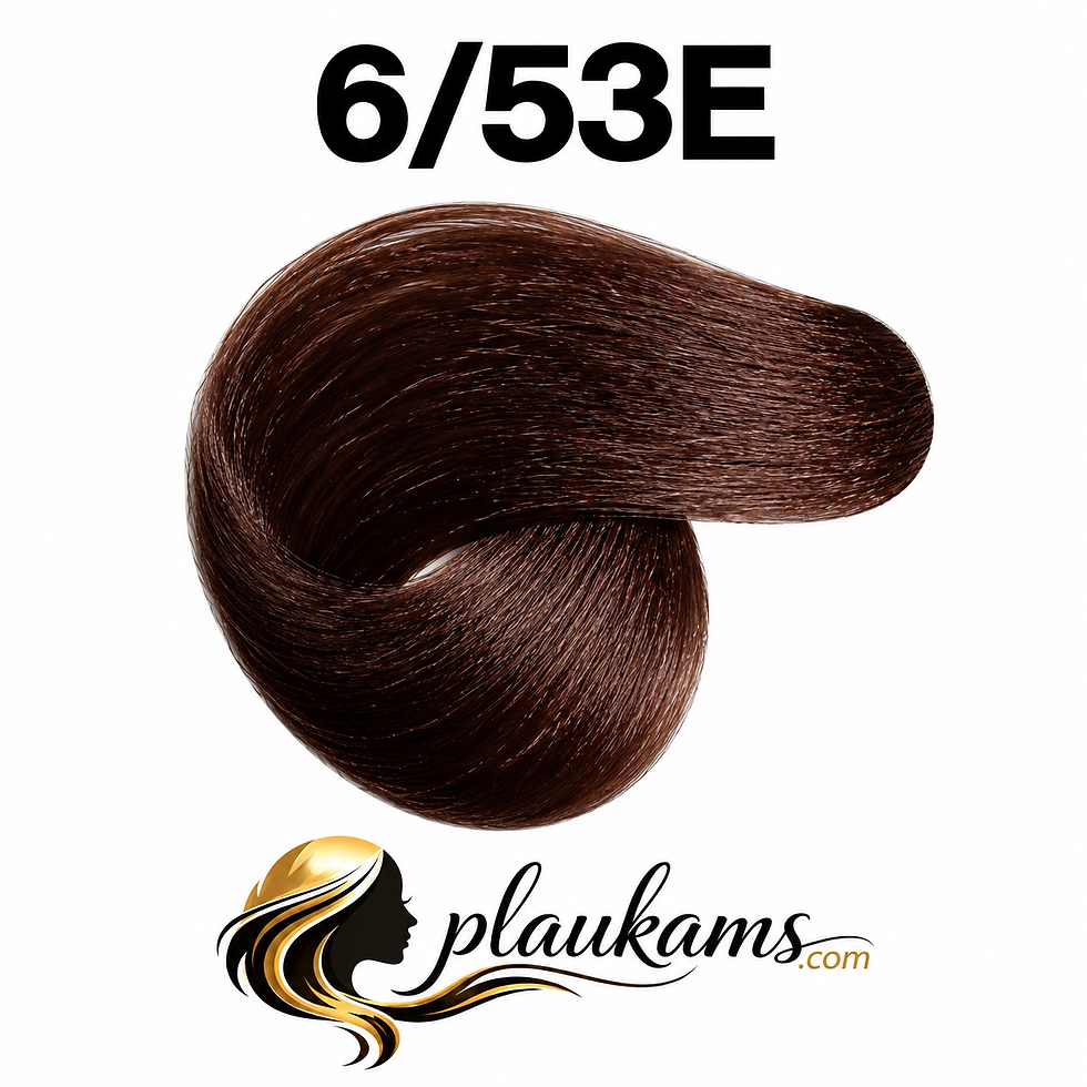 BBCOS INNOVATION EVO plaukų dažai 100 ml - 6/53E
