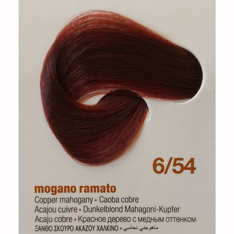 INNOVATION EVO plaukų dažai 100 ml - 6/54E