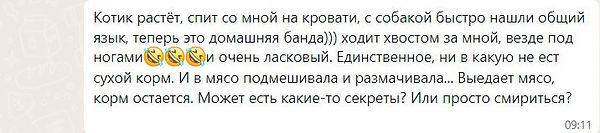 Снимок.JPG