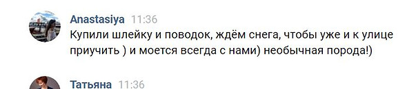 Снимок6.JPG