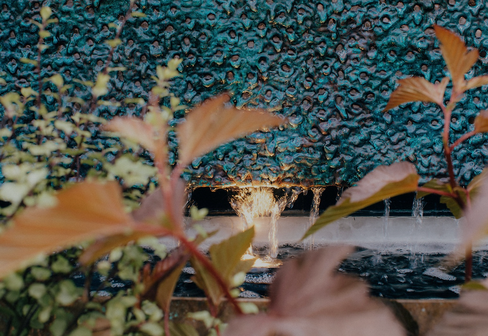Detail, Giles Rayner, Lava Wall at Chelsea Flower Show
