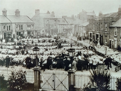 Spalding Spring Fair 1876