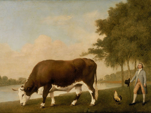 The Lincolnshire Ox