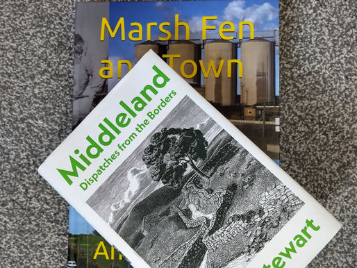Middleland by Rory Stewart on top of Marsh Fen and Town by Andrew Elsden