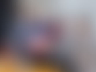 FIN TROPPO PAZIENTI - CONSEGNA PETIZIONE