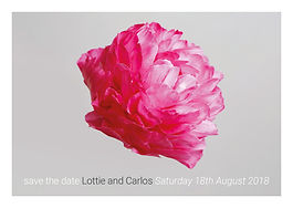•Flower single - Additional stationery.j