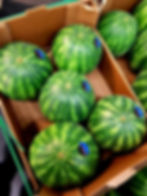Wassermelone Seedless