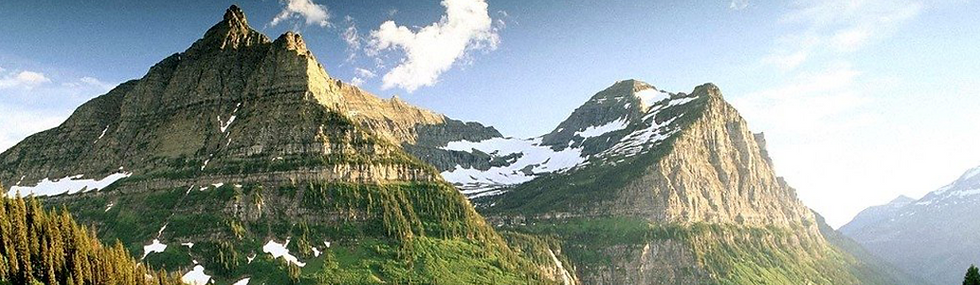 Реклама в Шымкенте и ЮКО