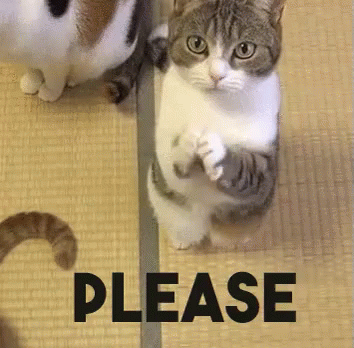 286f1ad062c24fec9ca0b5e763a94999.gif