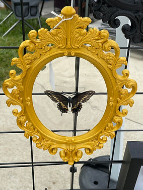 Butterfly Art Frame