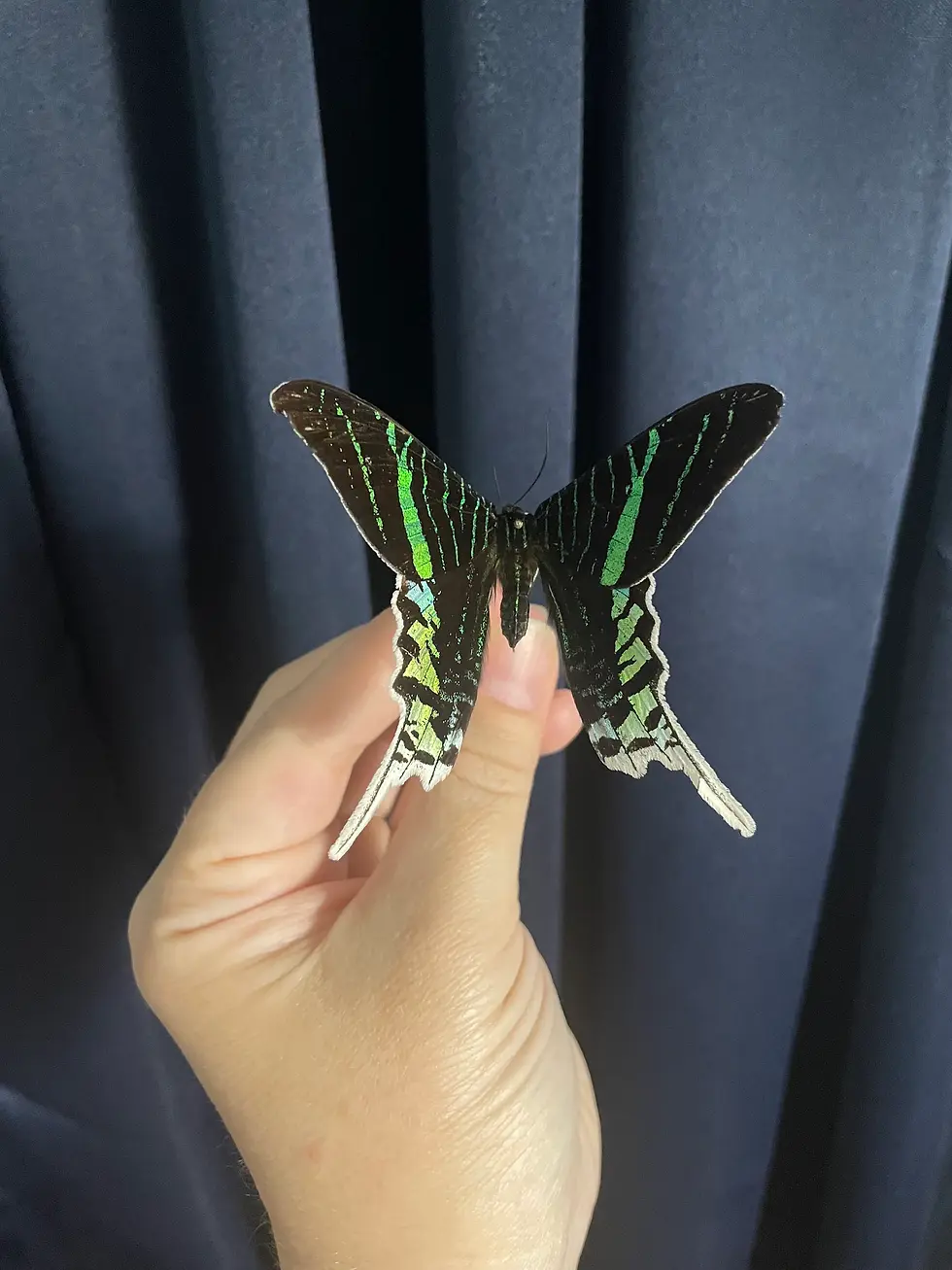 Thumbnail: 3D Printed Adjustable Deep V Spreading Board