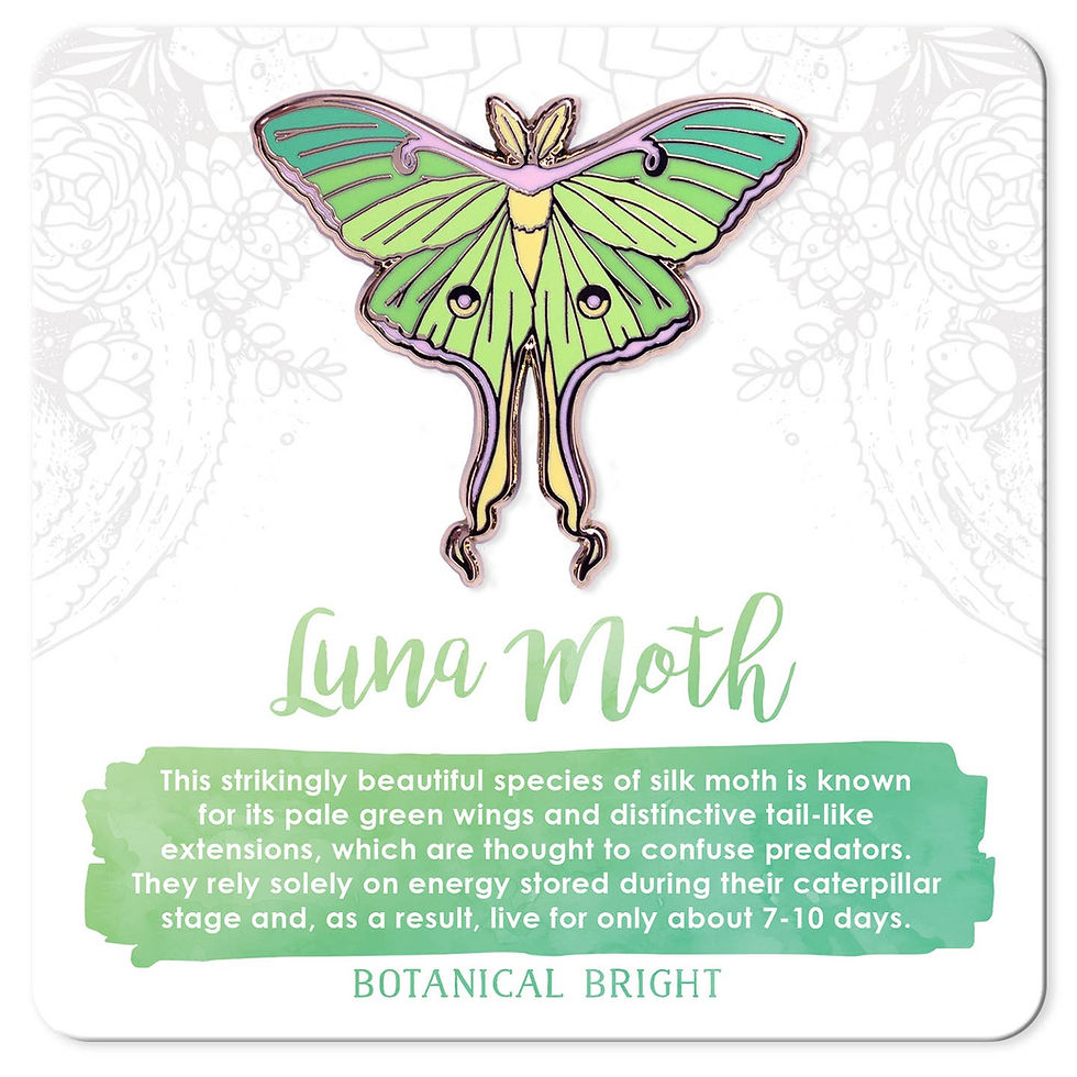 Thumbnail: Botanical Bright Moth Enamel Pins
