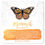 Thumbnail: Botanical Bright Butterfly Enamel Pins