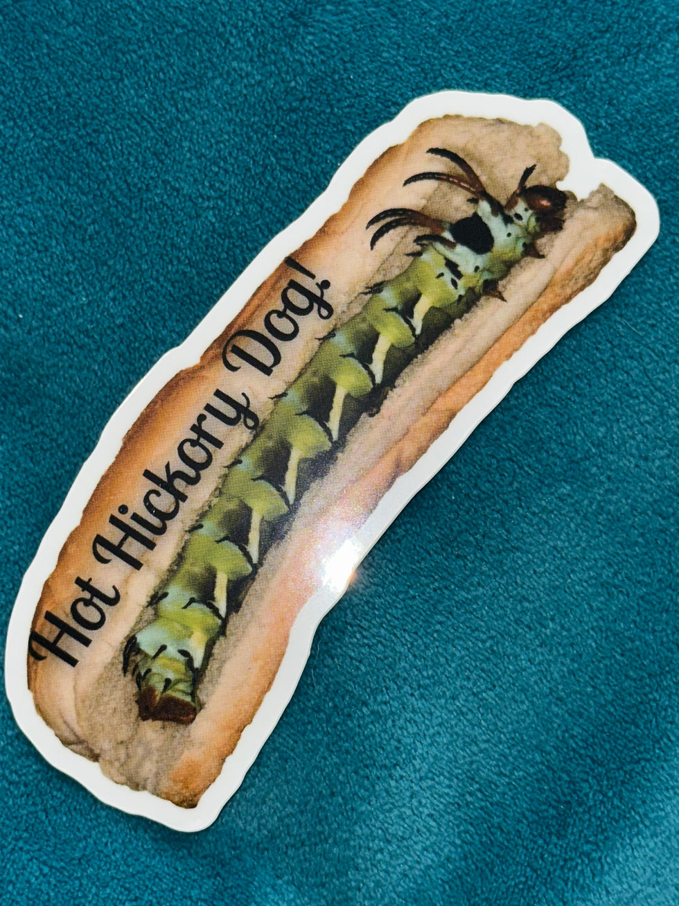 Hickory Horned Devil "Hot Hickory Dog!" Vinyl Sticker