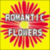 image2.jpeg