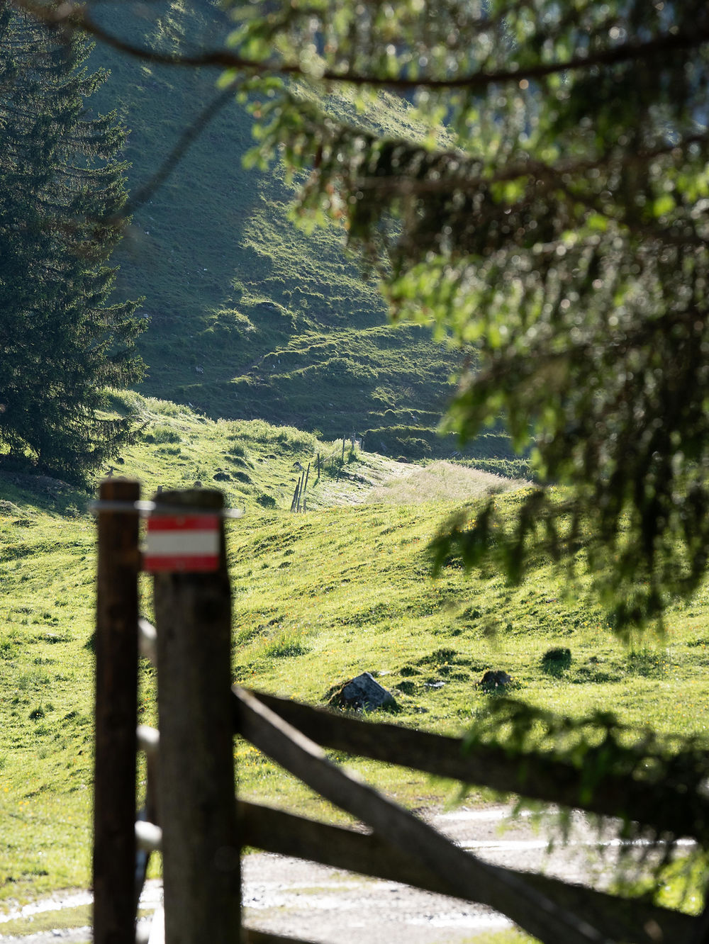 Wanderwegmarkierung an Holztor vor Almwiese