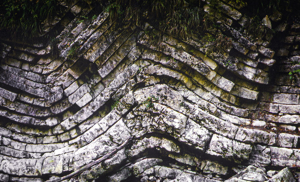 Gesteinsfaltung_Glasenbachklamm_A_edited.jpg