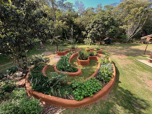 horta (1).jpg