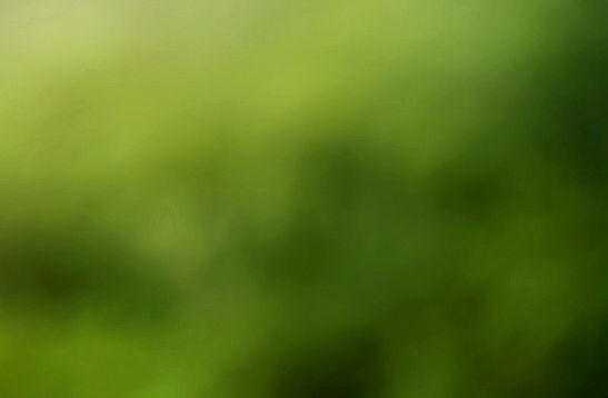 desfoque 5_edited_edited_edited.jpg