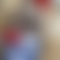 Un petit koala parisien …