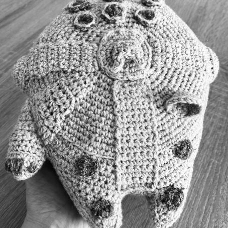 Faucon Millénium pour un petit Padawan …