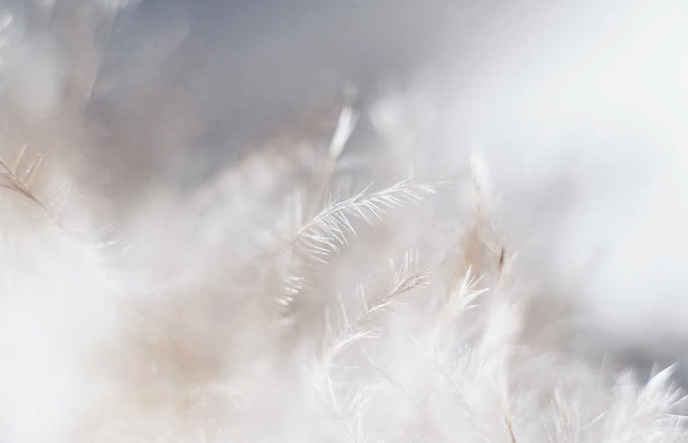 Thumbnail: CONNECT With Your Spirit Guides   Instruction Guide