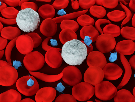 Coping with Pain in Sickle Cell Disease: The Role of Alcohol and the Importance of Dry January