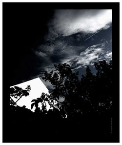 Ombra d´ombra  - 2006