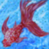 Dancing Koi