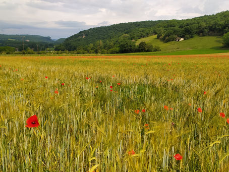 Balade dans l'Ain