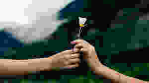 Como superar a dor do luto