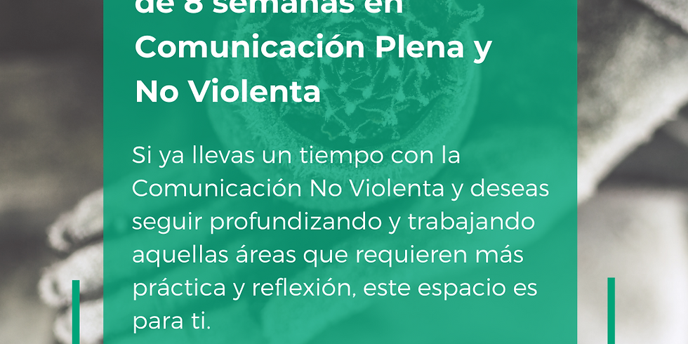 Programa de profundización de Comunicación Plena y No Violenta