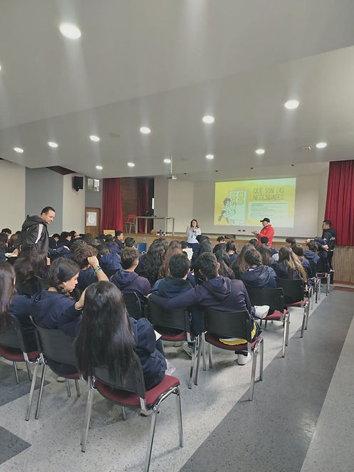 Comunicación No Violenta Colegios