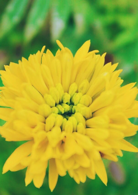 Screen Shot 2564-11-08 at 20.27.23.png