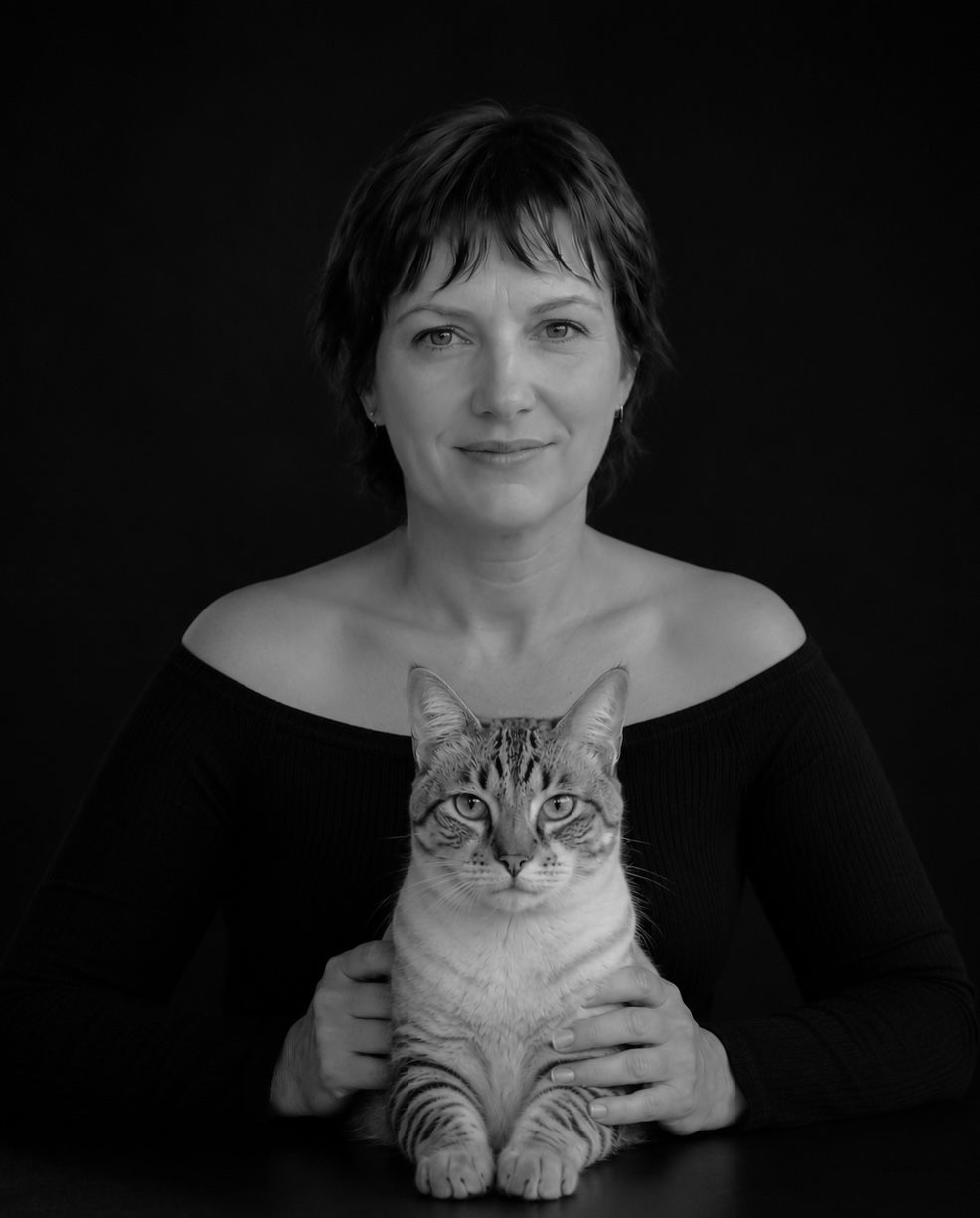 Pet Felino E