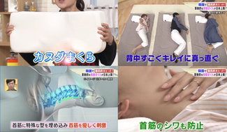 カヌダまくら日テレ[女神のマルシェ][イトーヨーカドー]プロジェクト！