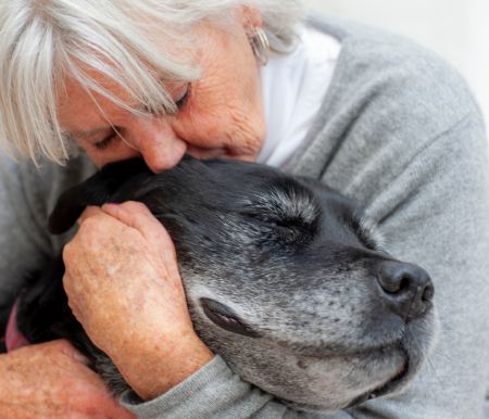 Mobile Grooming for Dogs with Arthritis or Limited Mobility