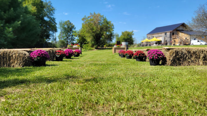 Harrowsmith Brewing Wedding Venue