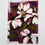 Thumbnail: iris II