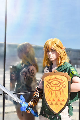 Link totk by Ania
