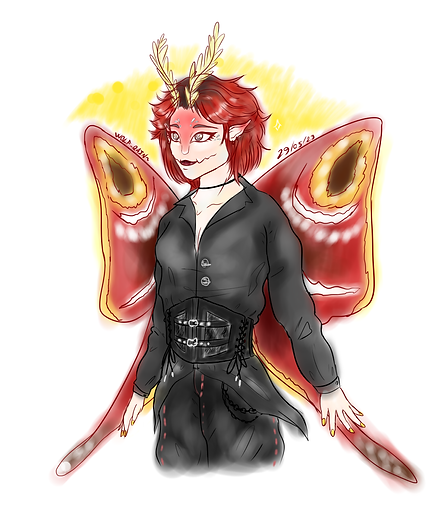 io falena seee.png