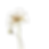 Unbenanntes_Projekt (1).png