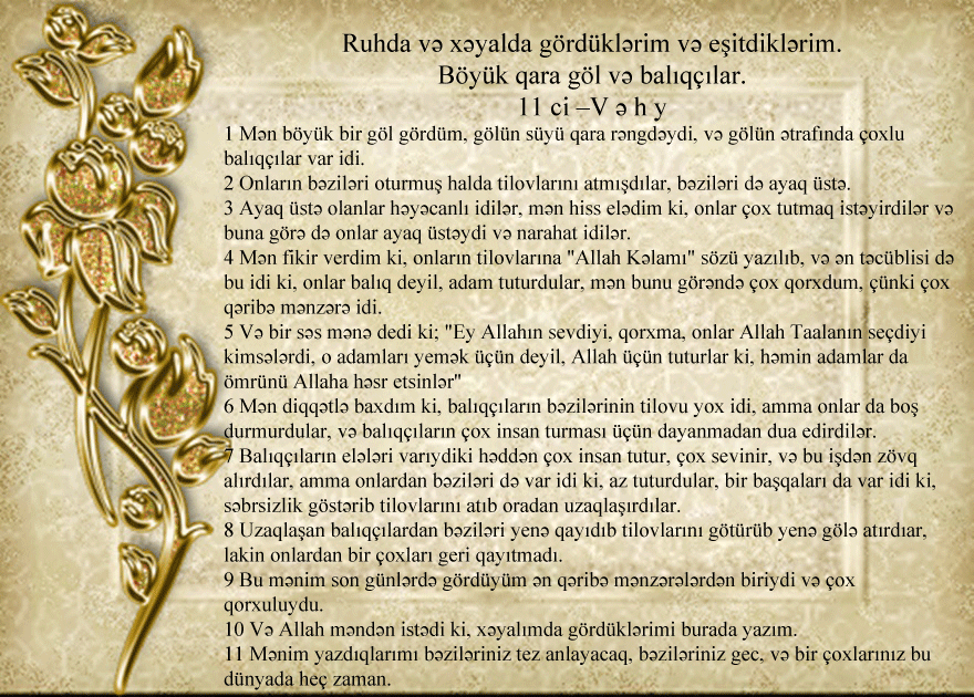11.gif