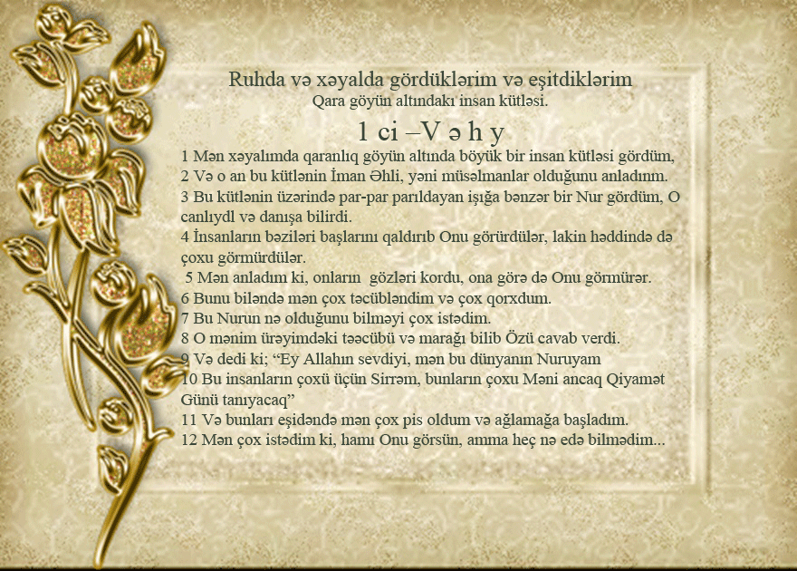 1.Vehy.gif