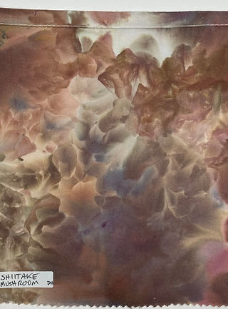 Shiitake Mushroom Dharma