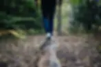 person walking on tree branch on trail
