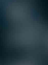 Rise Against Live In Calgary