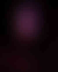 Meet Me @ the Altar Live