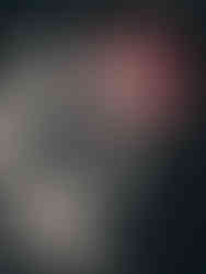 Rise Against Live In Calgary